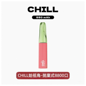 CHILL始祖鳥總代理